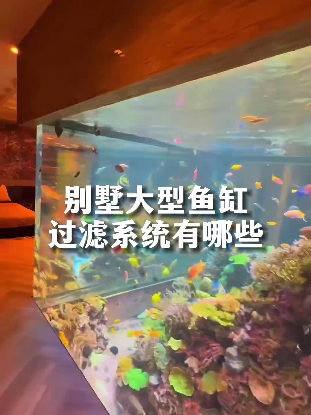 别墅大型鱼缸的过滤系统,占了大半个地下室
