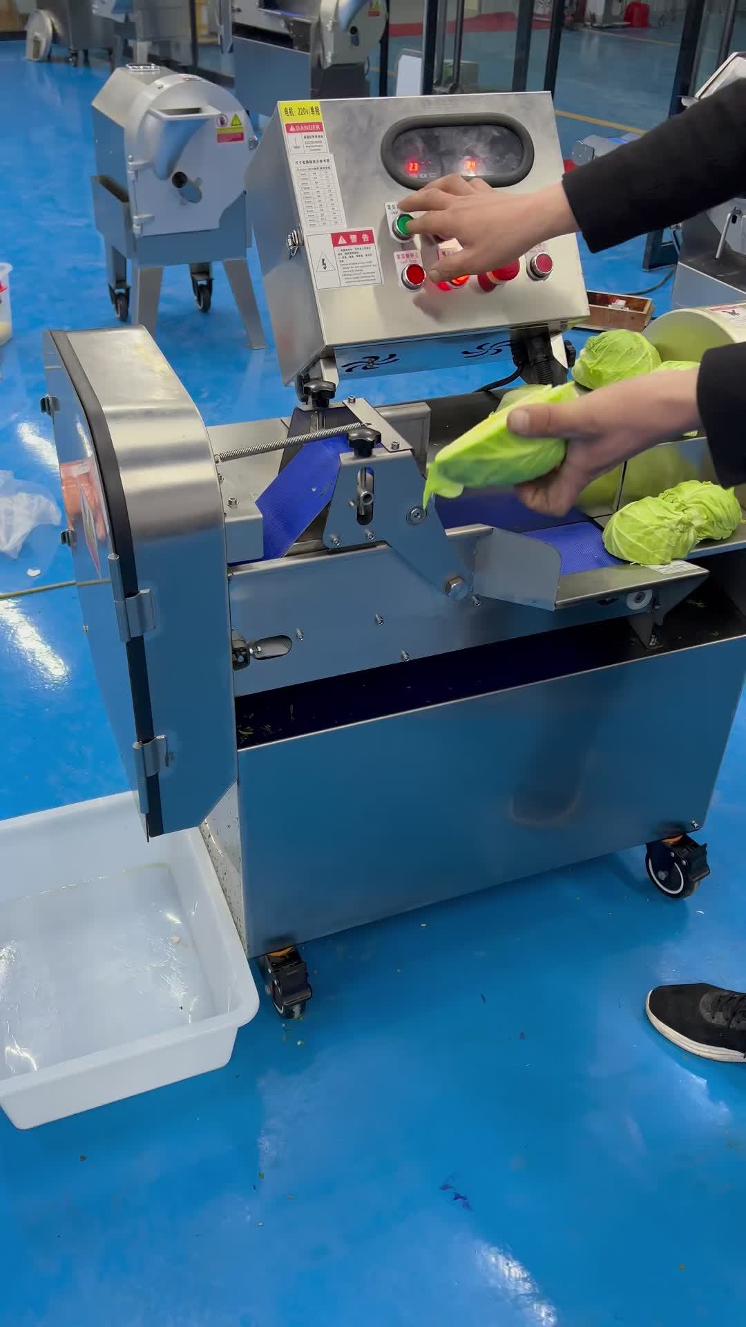 双头切菜机 多功能切菜机 切菜机