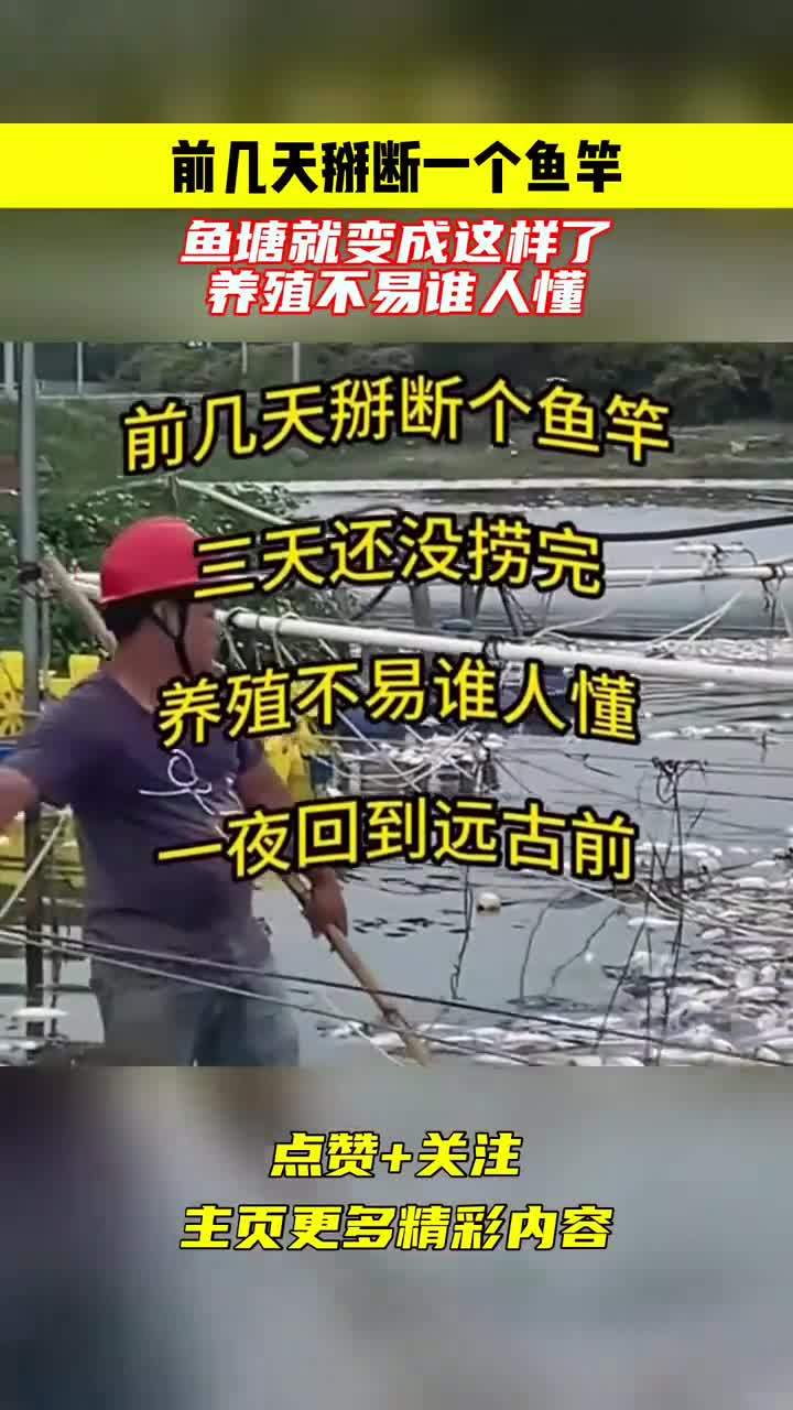 前几天掰断一个鱼竿,鱼塘就变成这样了,养殖不易谁人懂?