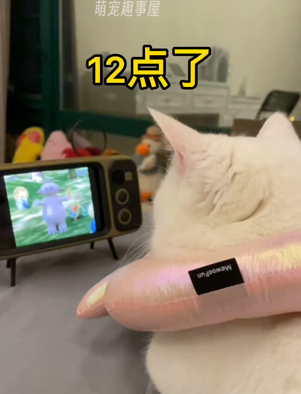 12点了,我拔了电视机的天线。小猫咪熬夜不好