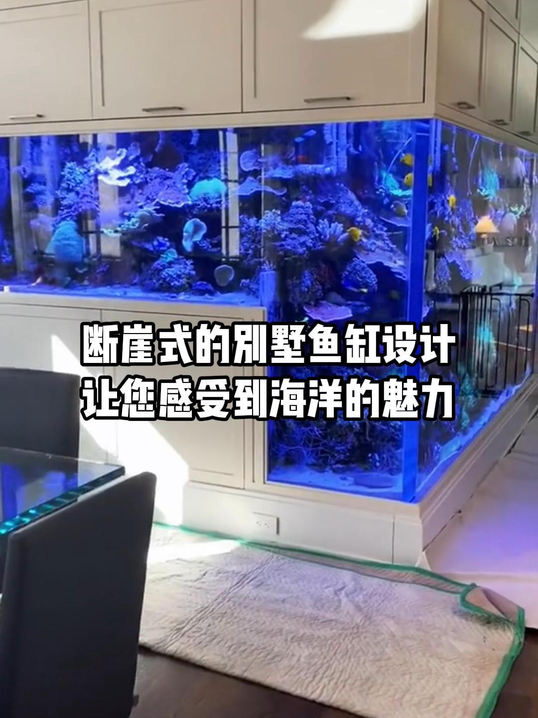 别墅海水鱼缸,让您在家就可以感受到海洋的魅力