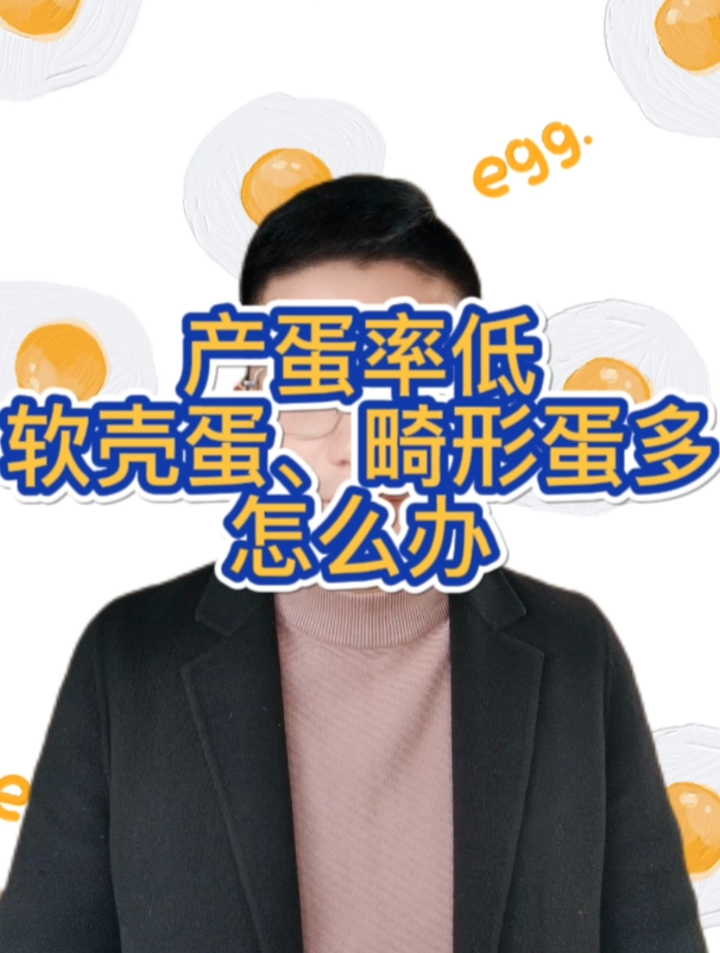 鸭子产蛋少怎么办生软壳蛋怎么办鸡蛋生软壳蛋怎么办养鸭的10大忌