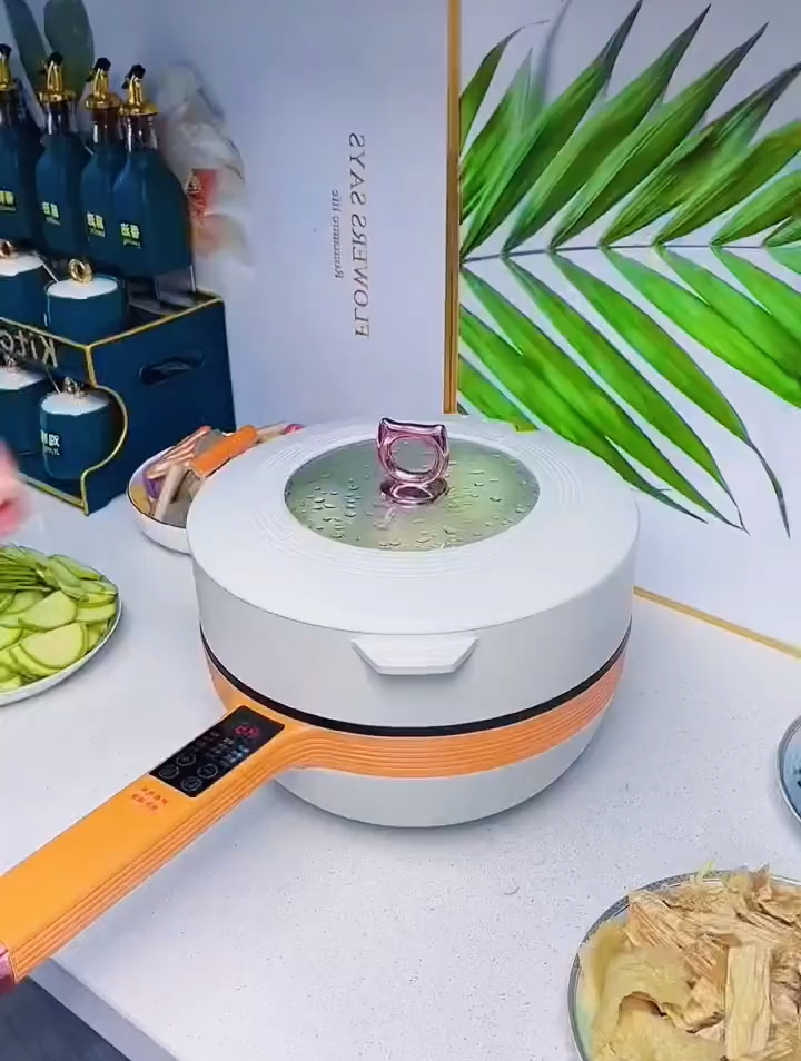 多功能电炒锅,煎炒炖煮样样都可以,以后炒菜做饭就用它了