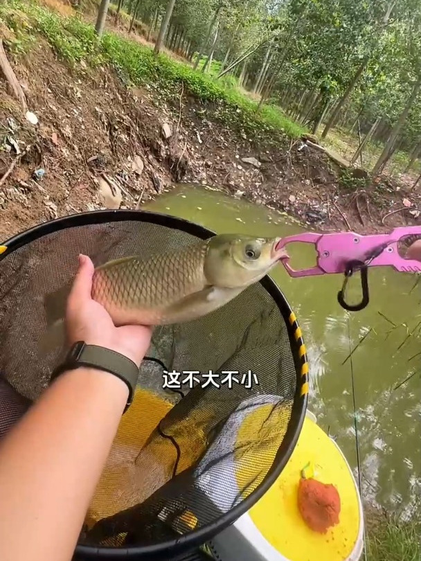 你们说这么小的臭水沟能钓到鱼吗