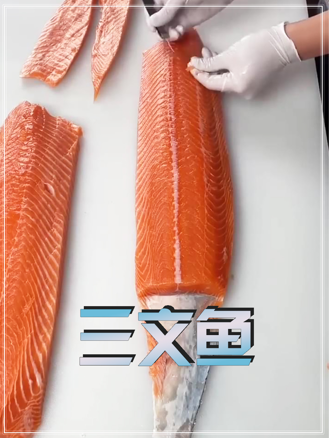 三文鱼和金枪鱼中你更喜欢吃那一个?