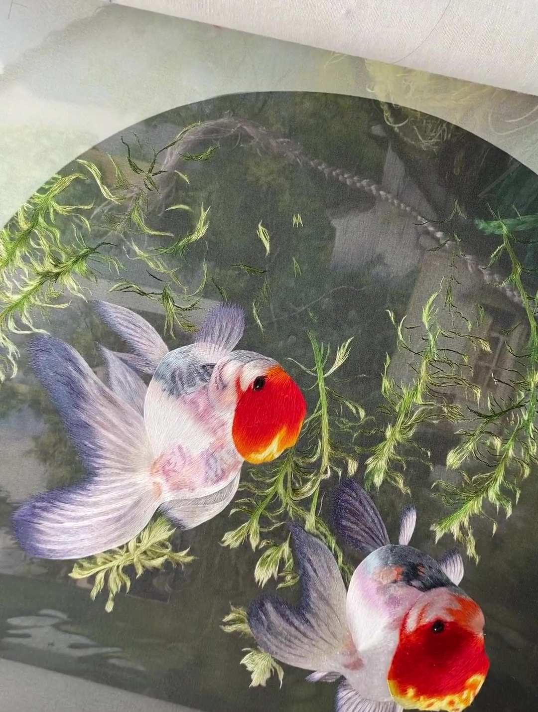 推广视频-双面绣金鱼-B