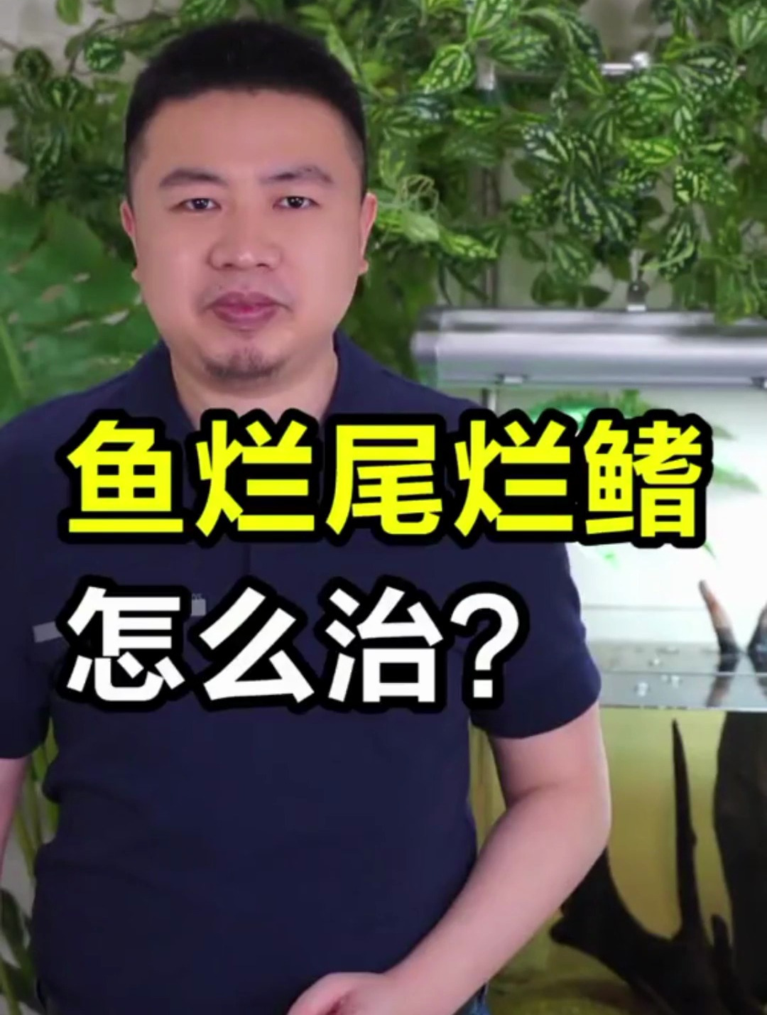 观赏鱼烂鳍烂尾 教你怎么治 让你的鱼漂漂亮亮