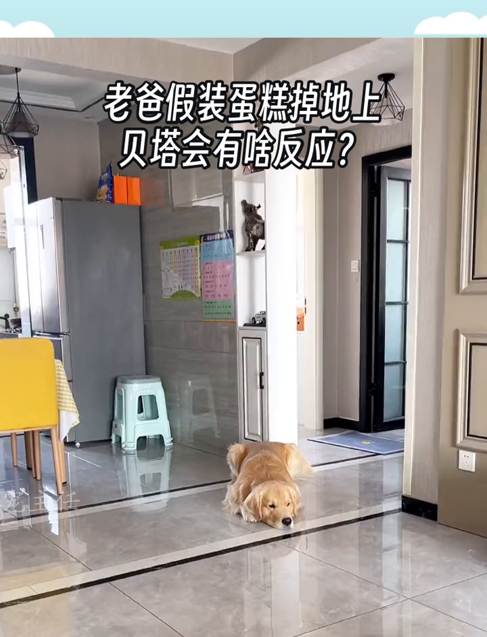 老爸假装蛋糕掉地上,贝塔会有啥反应?