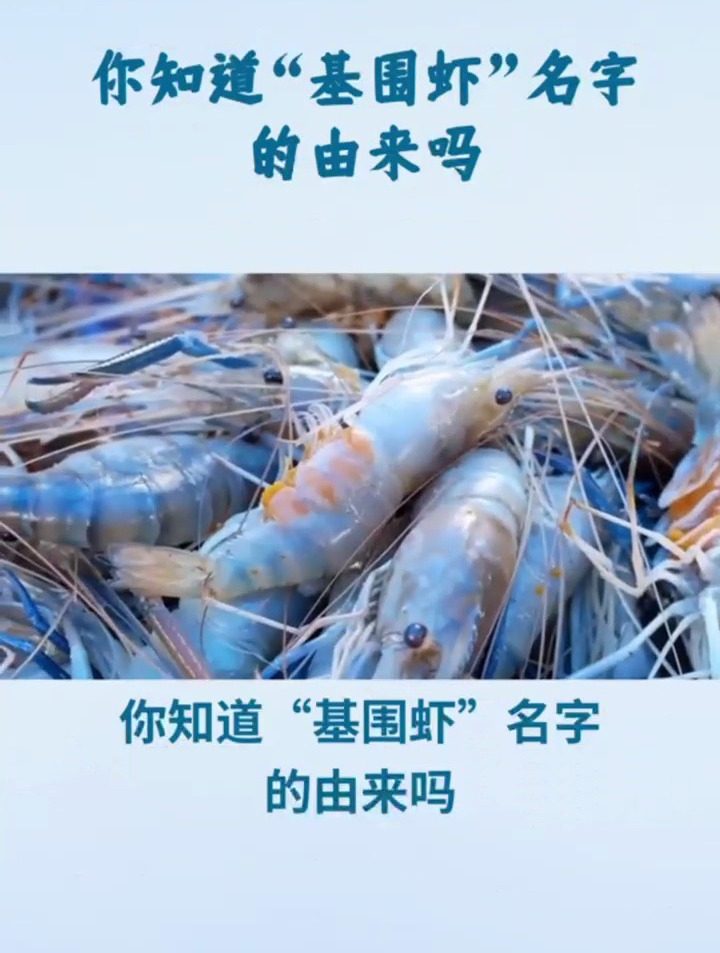 渝粤龙门|为什么叫基围虾?