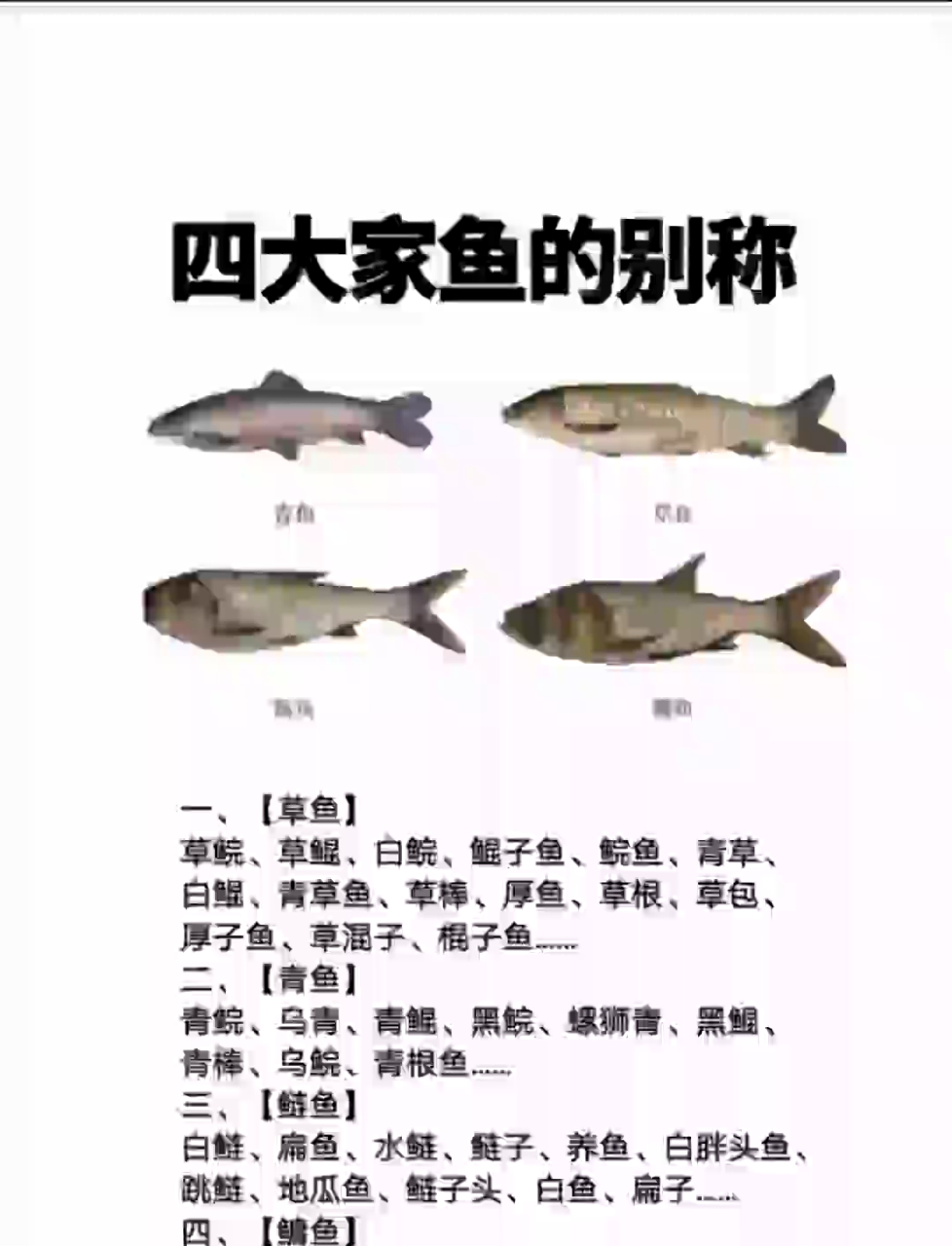 中国四大家鱼有哪些别称?你家乡怎么称呼?快来补充!