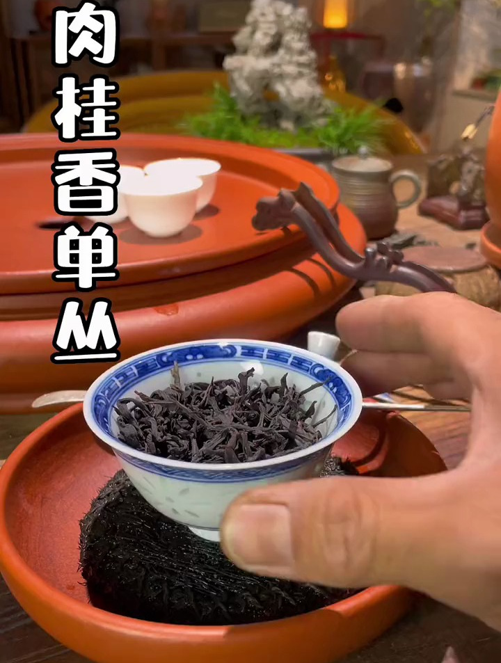 福建有茶名为肉桂,作为武夷岩茶的“新贵”被人熟知