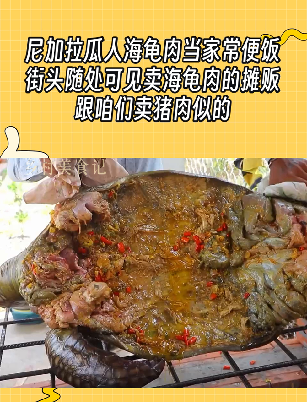 尼加拉瓜人海龟肉当家常便饭,街头随处可见卖海龟肉的摊贩,跟咱们卖猪肉似的