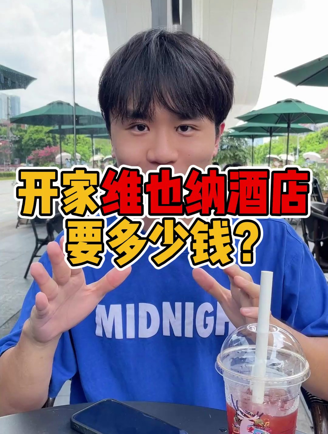 开家维也纳,需要多少钱?