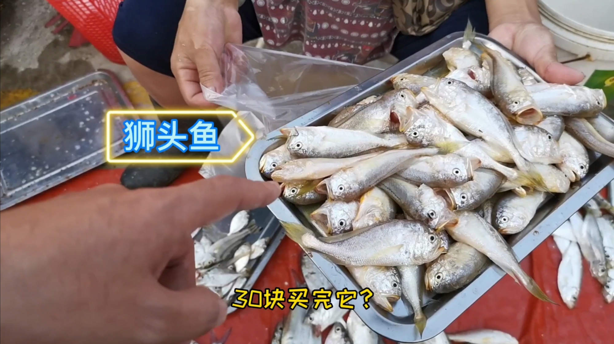 珠海网红海鲜市场,下午三点后便宜就跟不要钱似的,种类多又新鲜