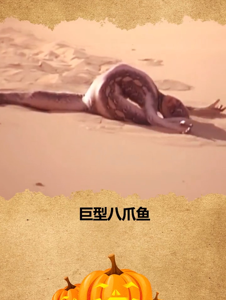 章鱼哥修炼成人形到海边做瑜伽了?