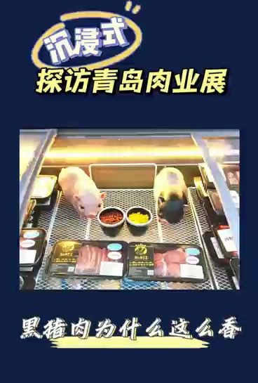 黑猪肉为什么这么香