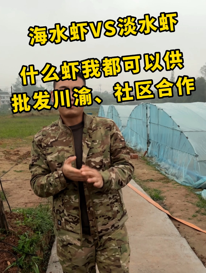 淡水虾与海水虾并无明显区别,萝卜青菜各有所爱