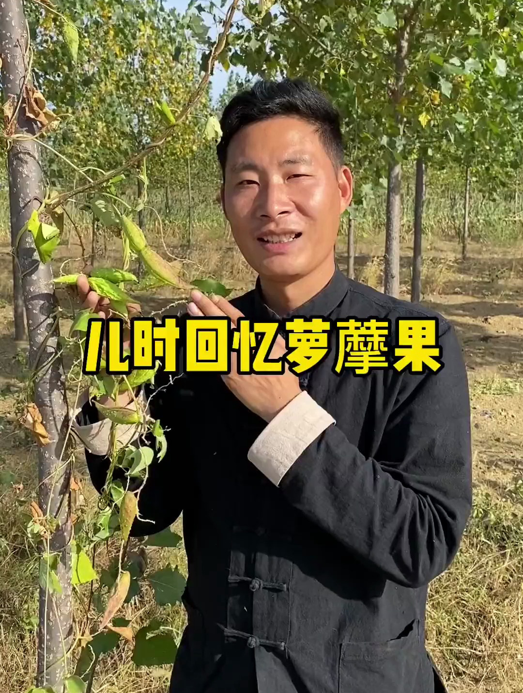 萝藦 我们叫它野羊角,老鸹瓢,大家叫它什么呢