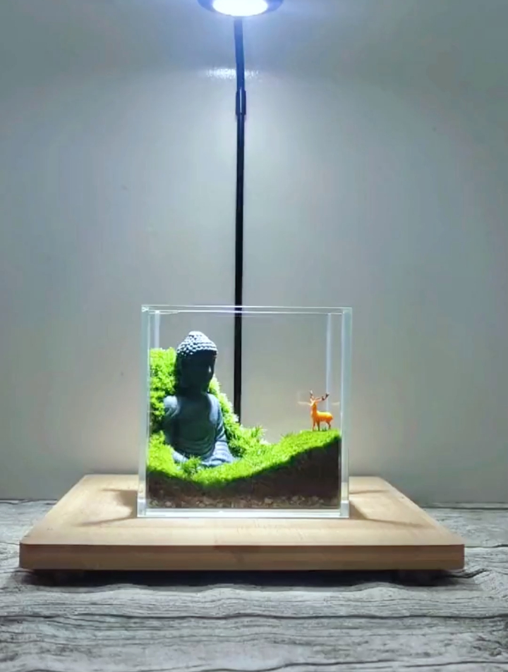 自己动手做组合式盆景,几块钱的绿植,玩出高大上的感觉