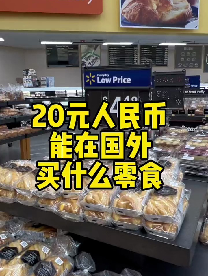 20美金零食挑战 你们想先吃哪个呢