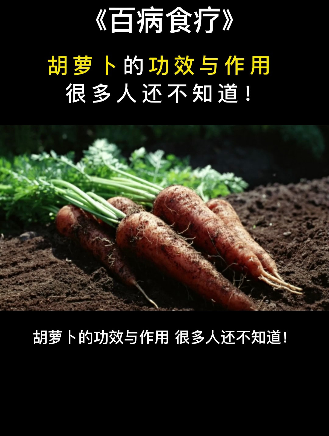 百病食疗:胡萝卜的功效与作用,很多人还不知道!