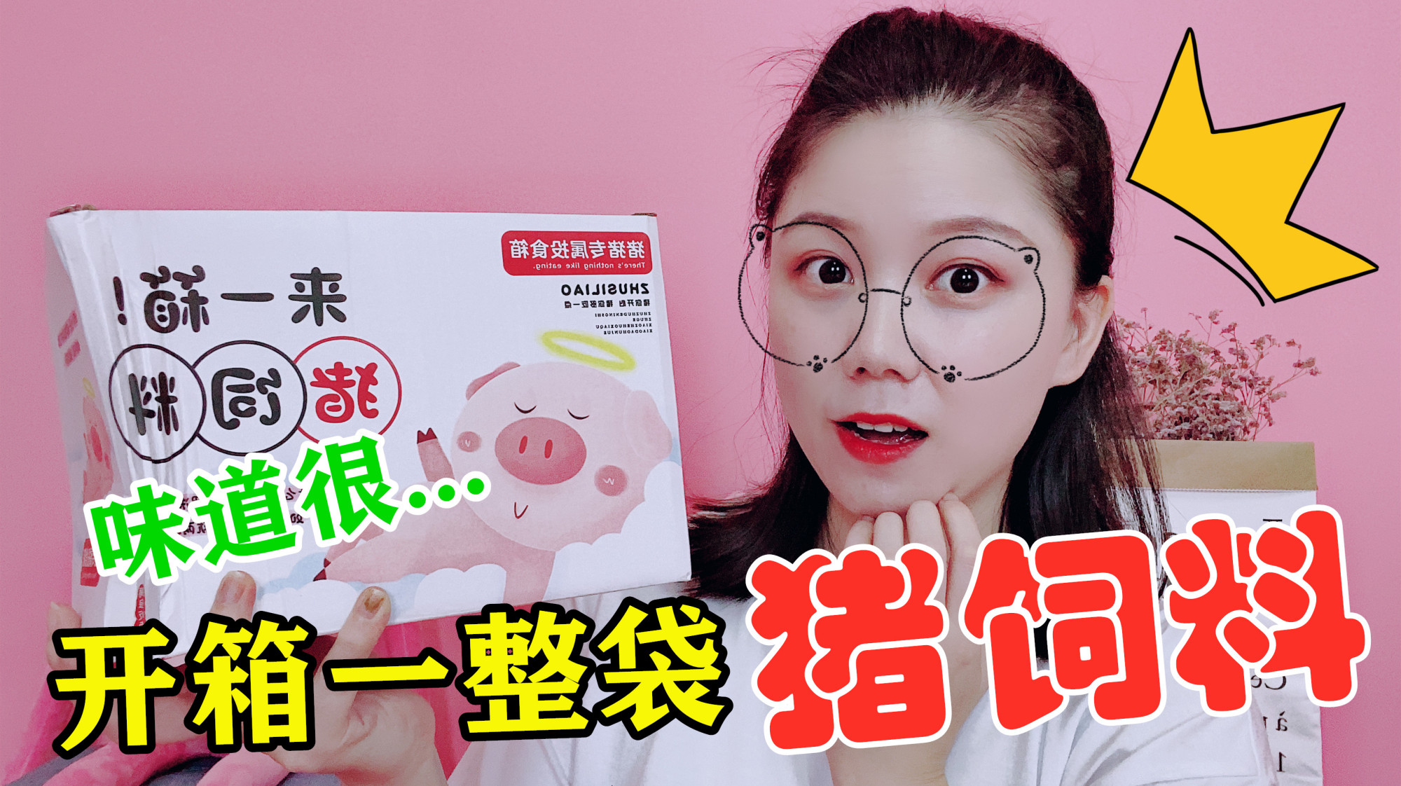 一大早发现一袋“猪饲料”,打开后,米可却吃得津津有味!