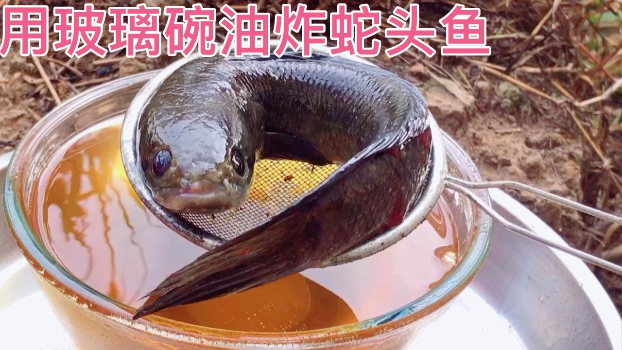 用耐高温玻璃碗油炸蛇头鱼 七星鱼 很脆好吃