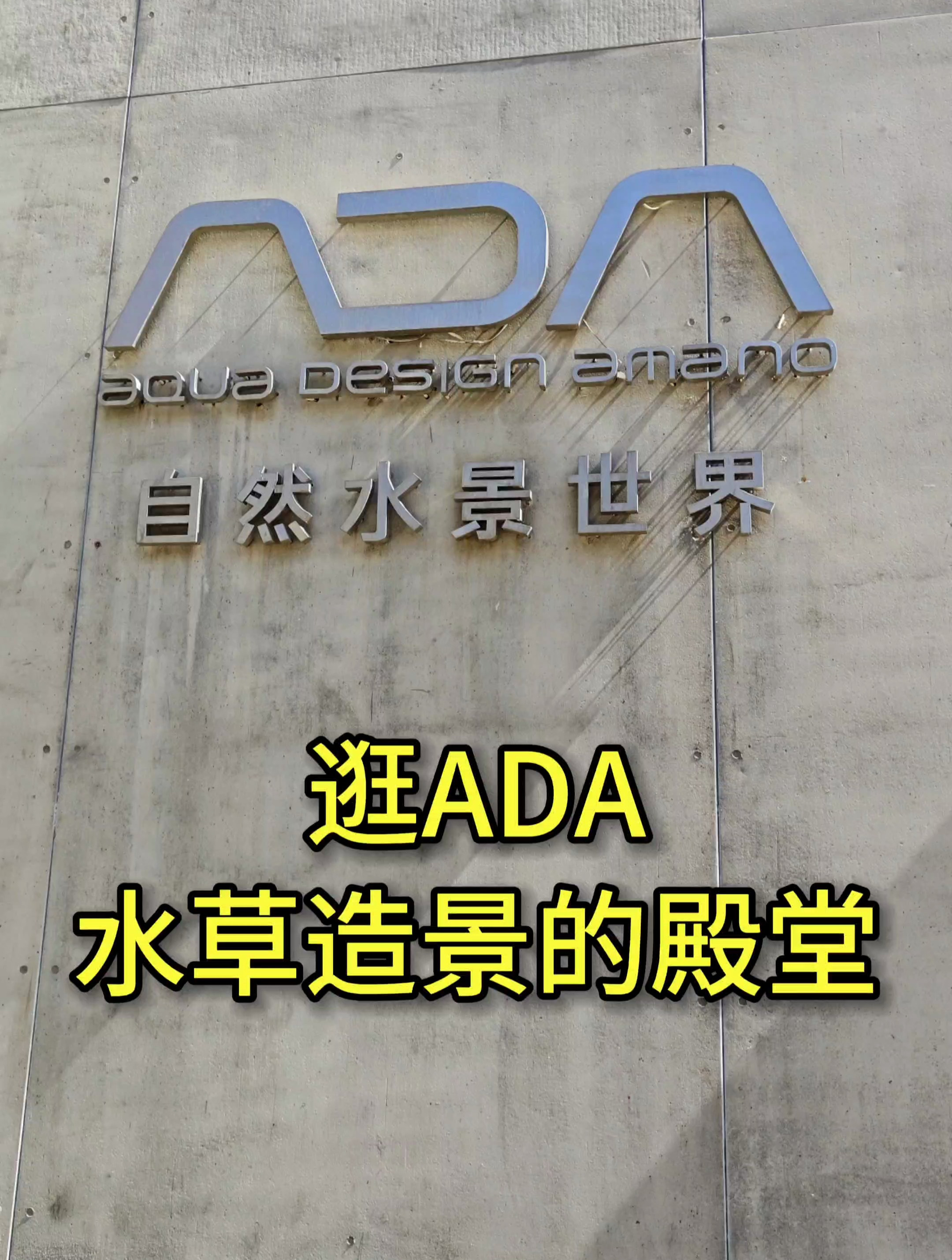 一起来逛ADA自然水景世界,看看有“亿”点贵的水草造景鱼缸
