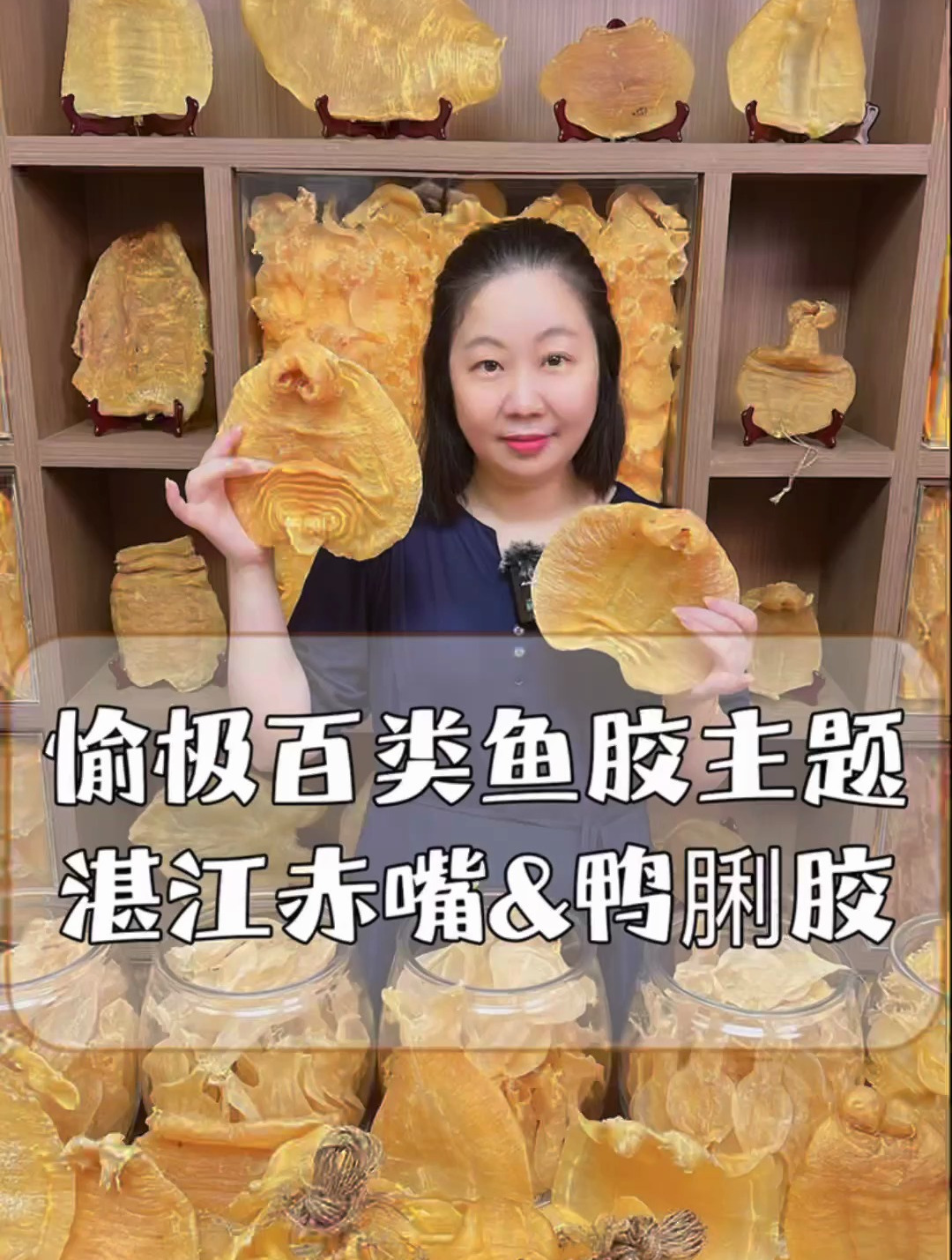 本港湛江赤嘴与鸭脷胶