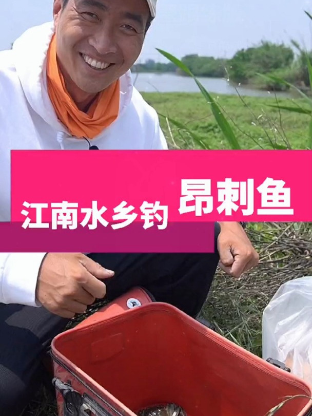 江南水乡钓鱼,这种鱼你会钓吗