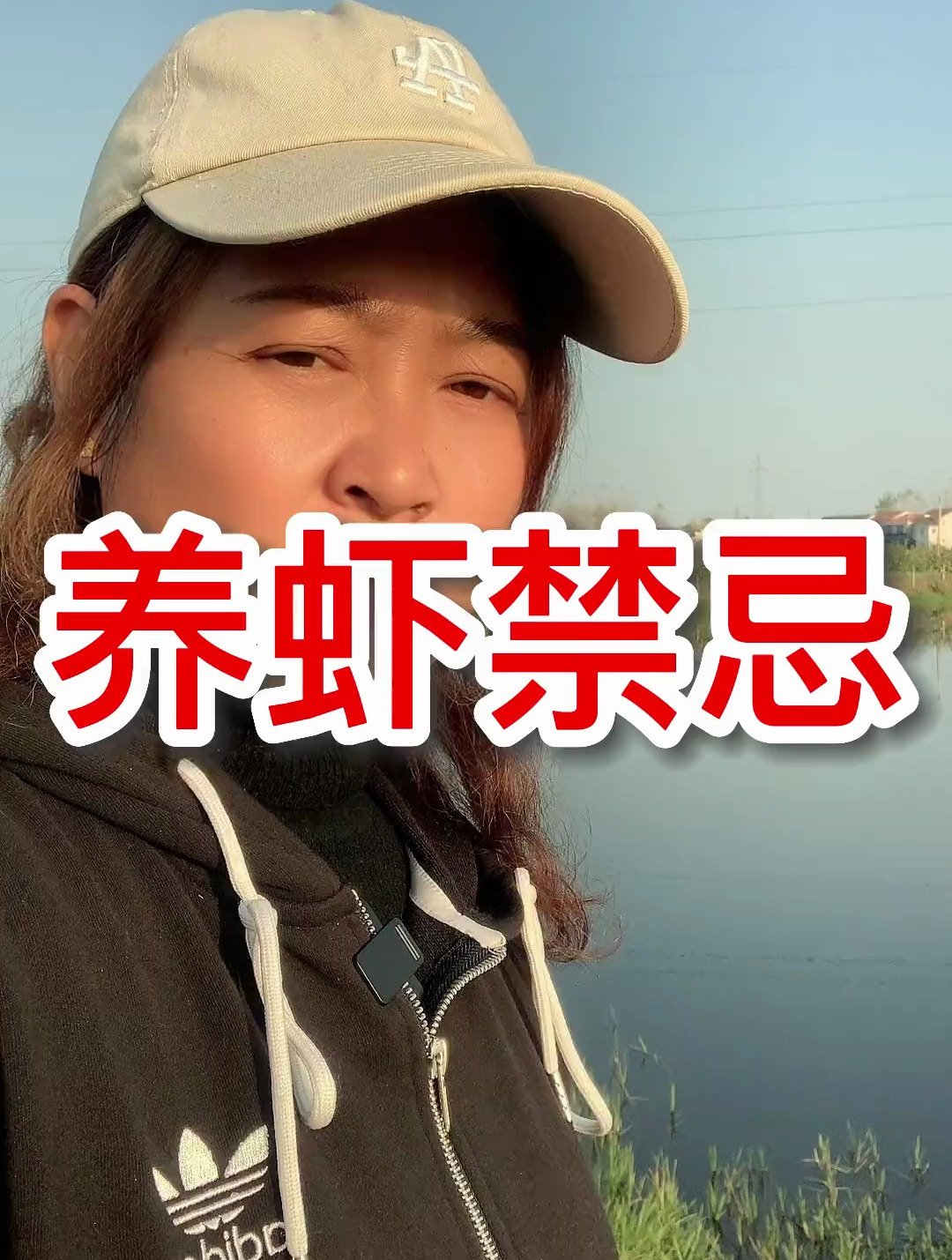 小龙虾养殖,养虾切勿盲目跟风,选择适合自己的养殖模式!
