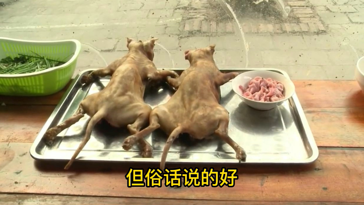 有个国家每个人都喜欢吃猫肉,甚至到了吃疯狂的地步