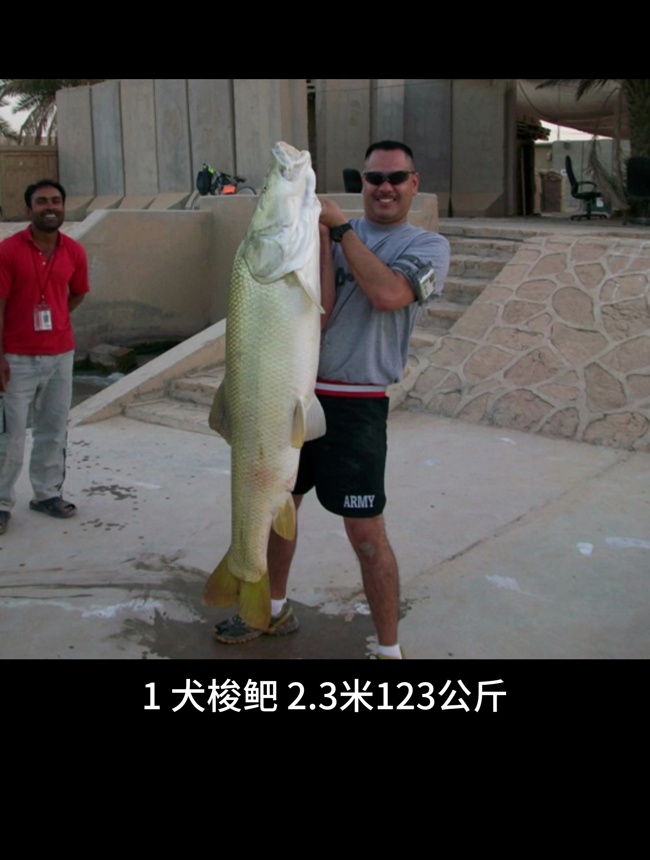鲤形目五大巨鱼,青鱼能排第三