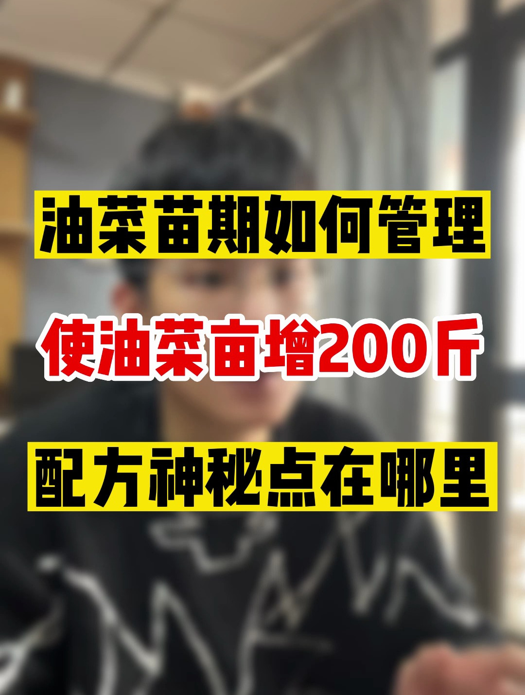 油菜想要产量高,苗期就已经开始管理了,如何管理呢?