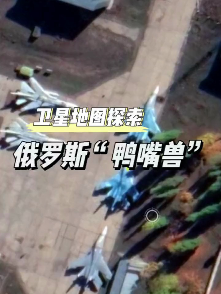 俄罗斯苏34鸭嘴兽,很多人没见过,带你了解一下