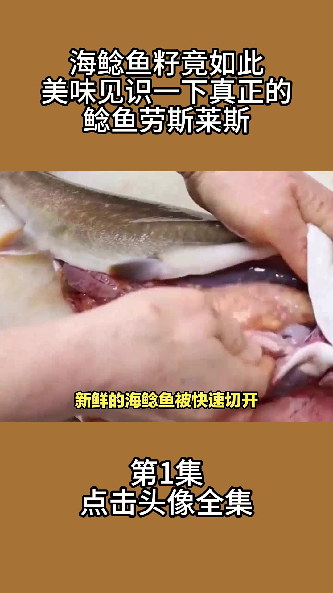 海鲶鱼籽竟如此美味!见识一下真正的鲶鱼劳斯莱斯