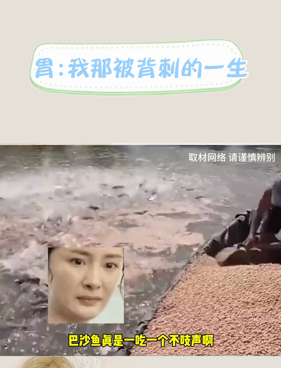 原本以为鲶鱼脏大家都不吃了,原来改名叫巴沙鱼了