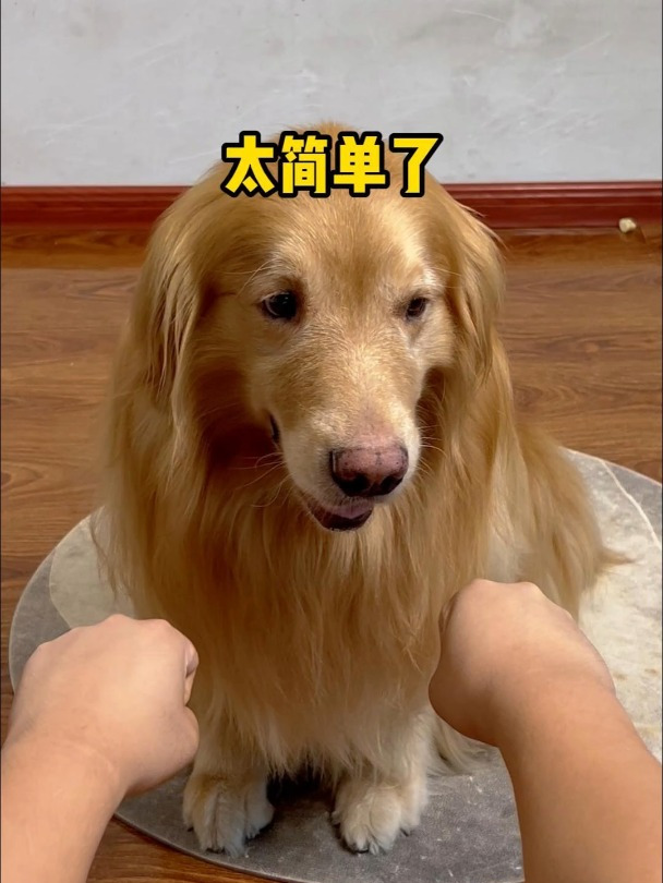 辛巴:我那么大的一个小蛋糕呢?