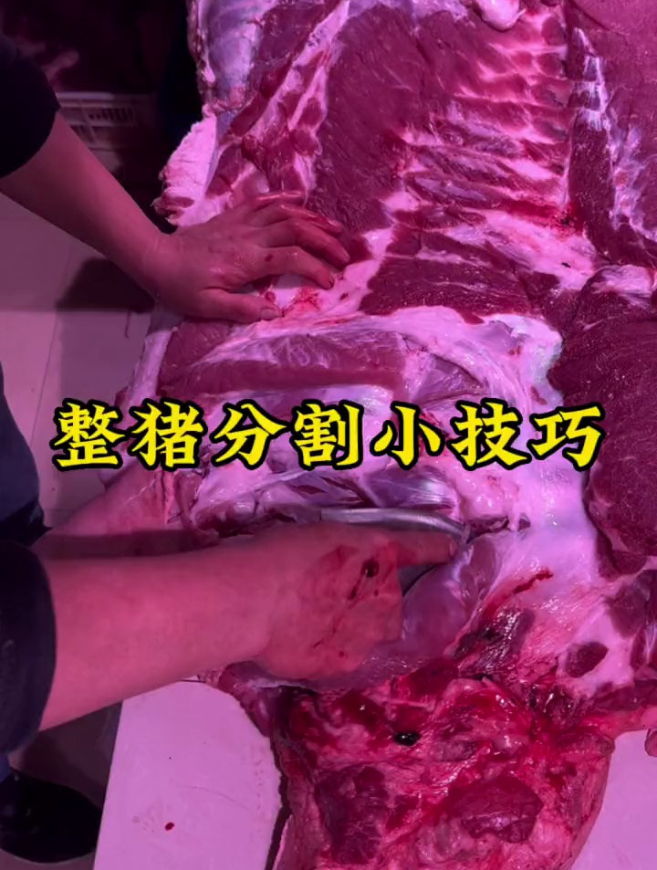快来说说你最喜欢吃的部位,99%的人没有见过的整猪分割视频