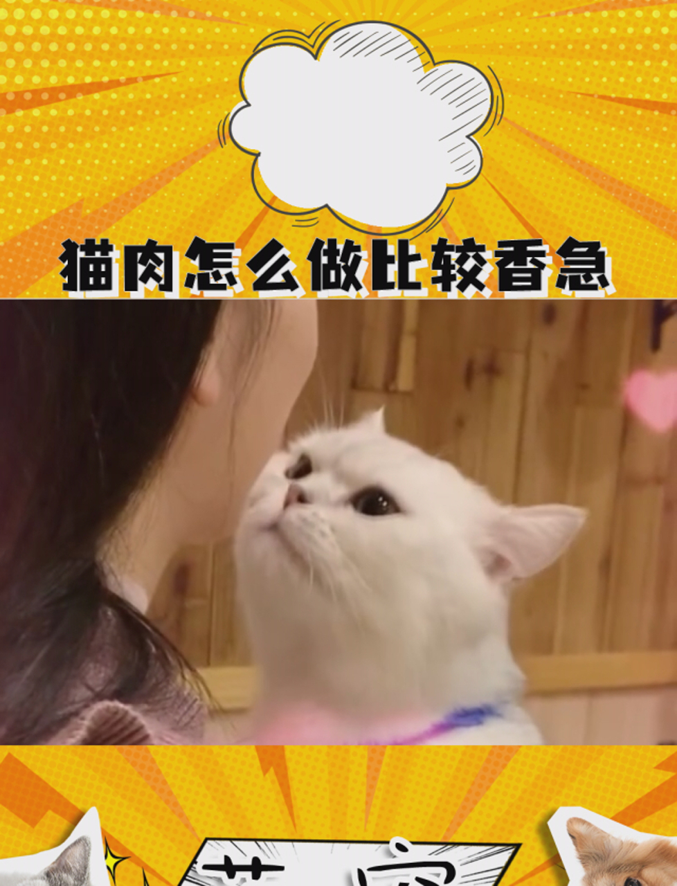 猫肉怎么做比较香急!在线等!