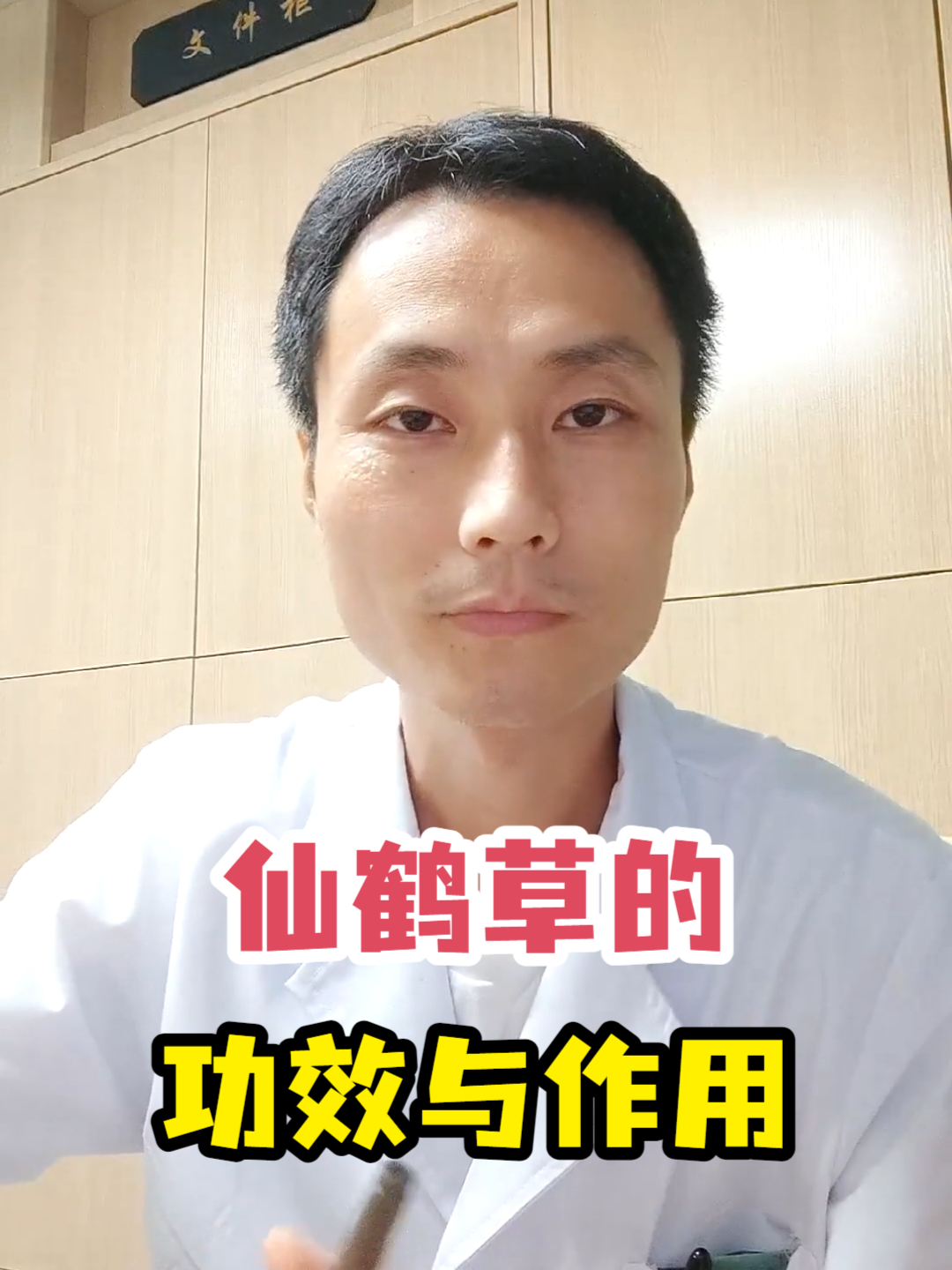 仙鹤草的功效与作用