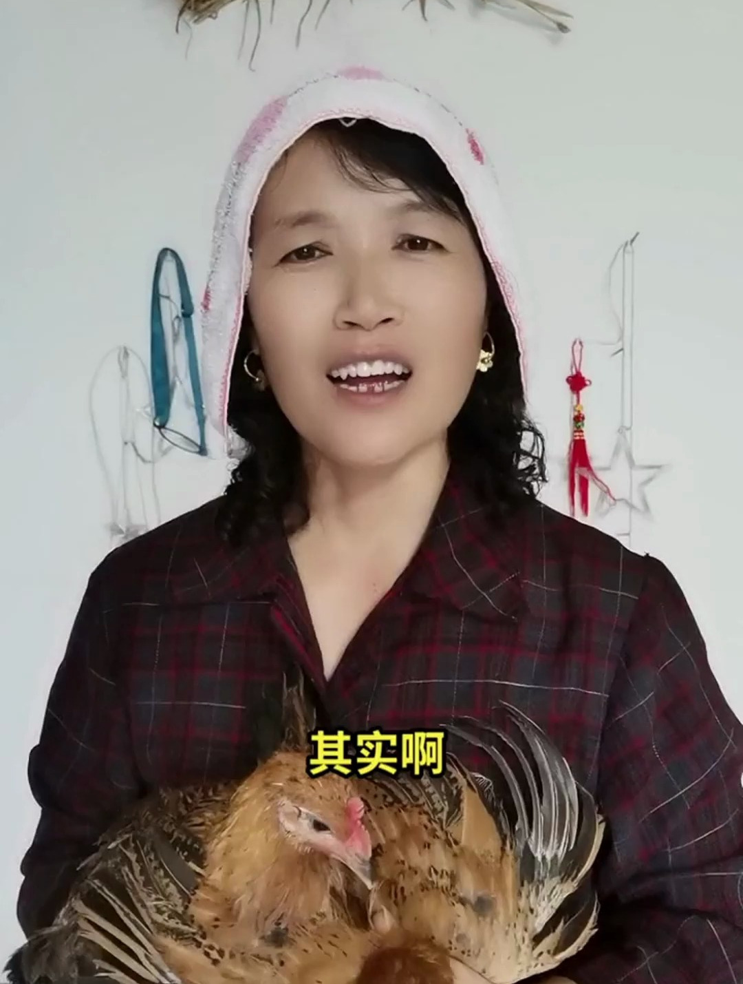 鸡鸭鹅可以一起混养吗?