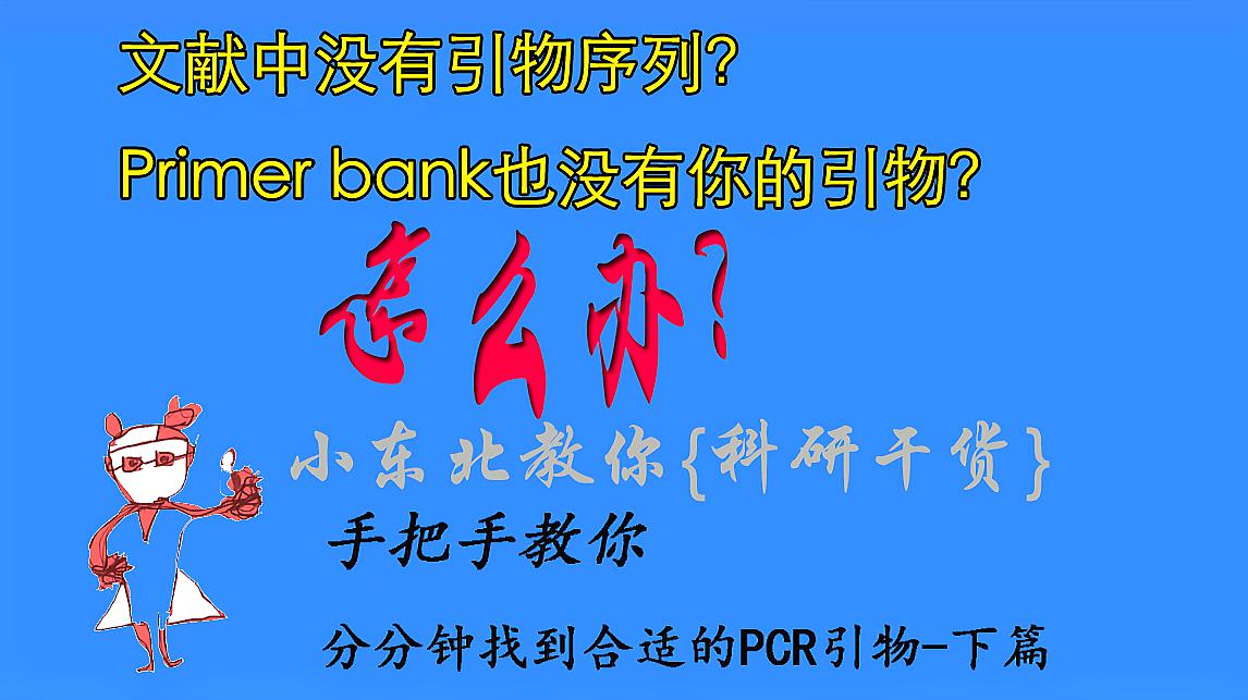 [图]「科研干货」-手把手教你分分钟找到合适的PCR引物-下篇