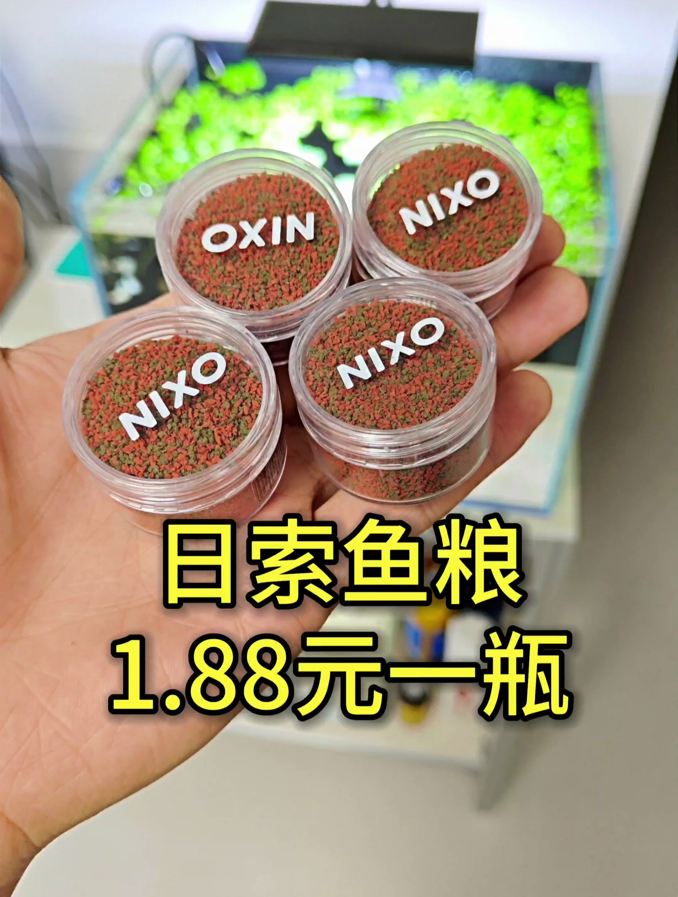 这个价格的观赏鱼饲料够不够卷?养鱼实现鱼粮自由