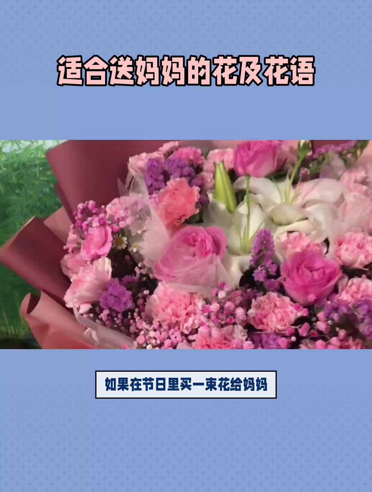 适合送妈妈的花及花语
