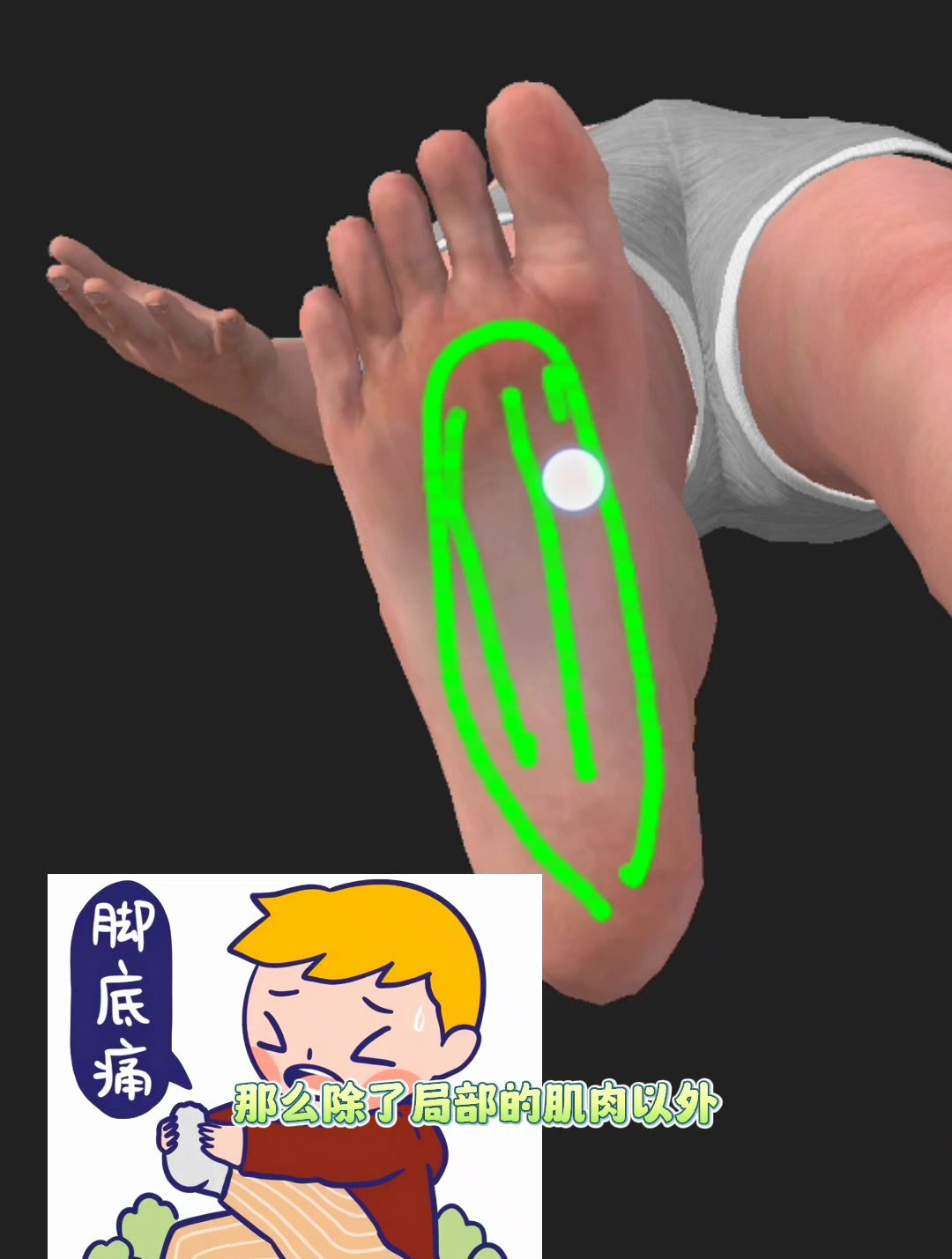 脚掌相关的肌肉,你知道有哪些吗
