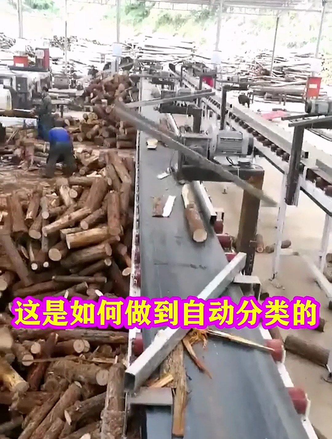 这是如何做到自动分类的,有人能看懂吗