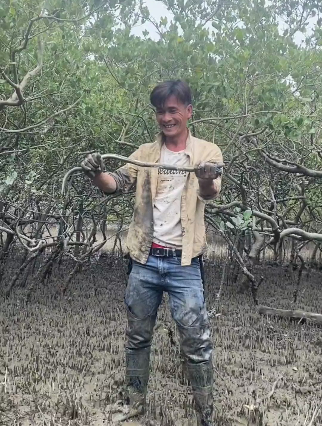 野生海黄鳝,大冬天,上一条货真心不容易呀