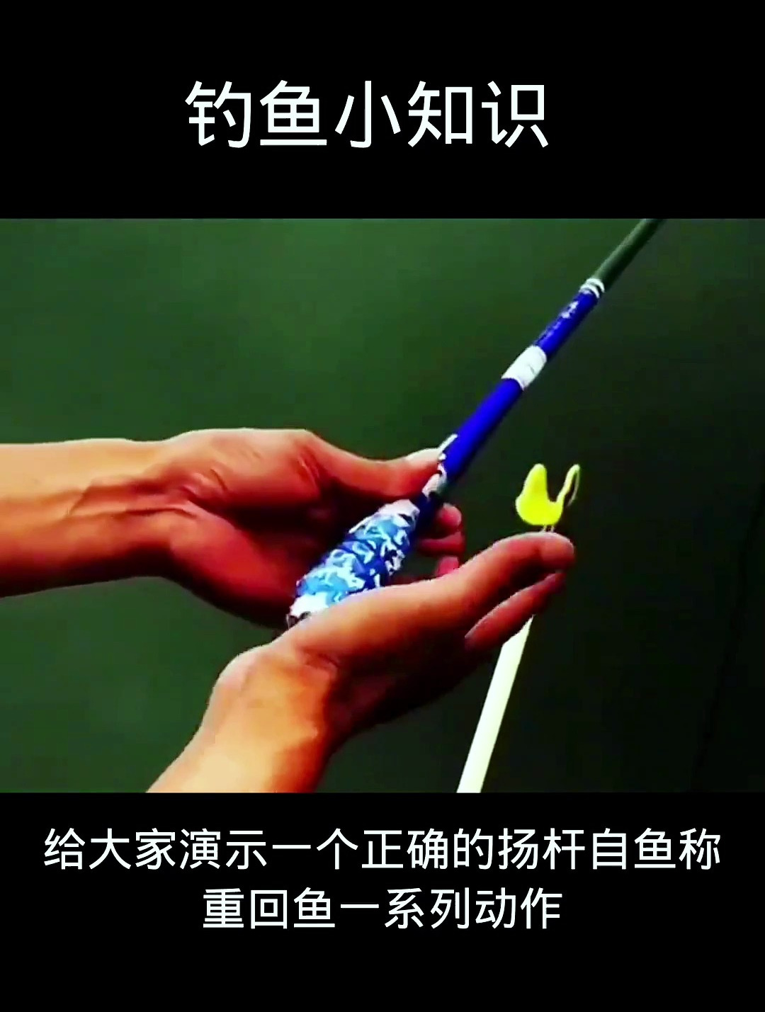 想钓更多的鱼,学会扬竿刺鱼很重要,教你简单的扬竿刺鱼基本动作