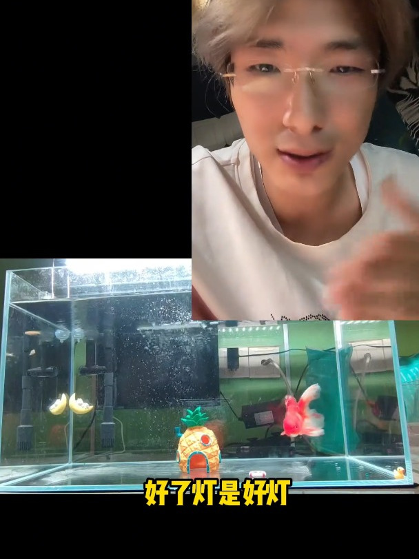 新手如何选鱼缸灯或水草灯,尼奥实战测评。水族 新手养鱼